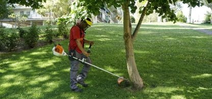 consejos para que tu jardín esté en perfectas condiciones